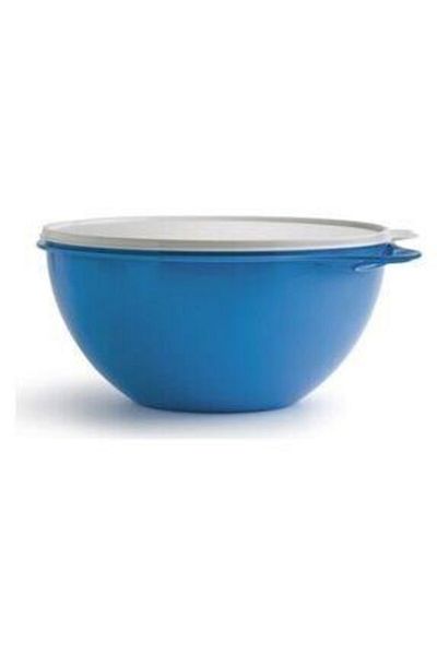 Tupperware Storage Box