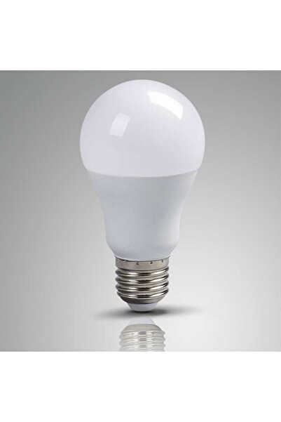 LEDMAX 10 Watt 12 Volt Porselen Kasa Led Ampul 900 Lümen 100 Watt Işık Gücü =...