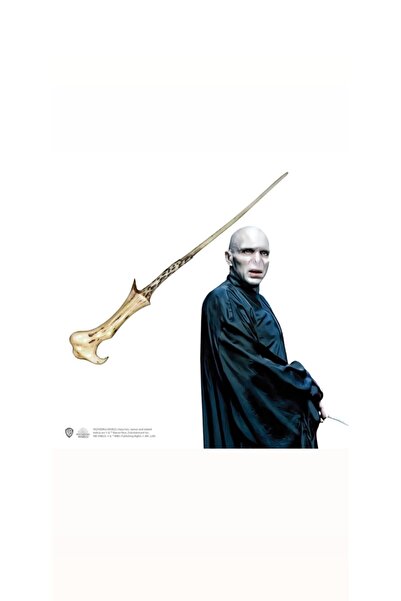 Genel Markalar Orjinal Lisanslı Harry Potter Tom Riddle-voldemort Asa