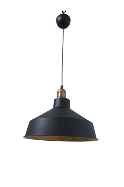 Rsylight Rys Retro Metal Siyah Dekoratif Eskitme Duylu Kafe Siyah Içi Siyah M...