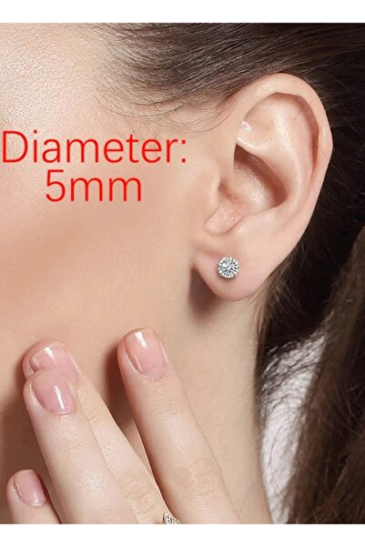 Erer Gümüş Gümüş Pimli Tek Taş Bayan Küpe Lr01f