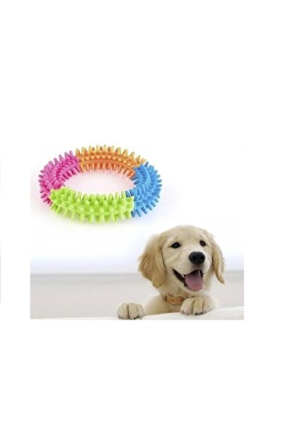 CMT دائرة وحلقة عض الكلاب البلاستيكية مقاس 12 سم