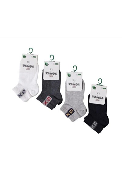 Panda Erkek Çocuk Bambu Patik Çorap 6 Adet