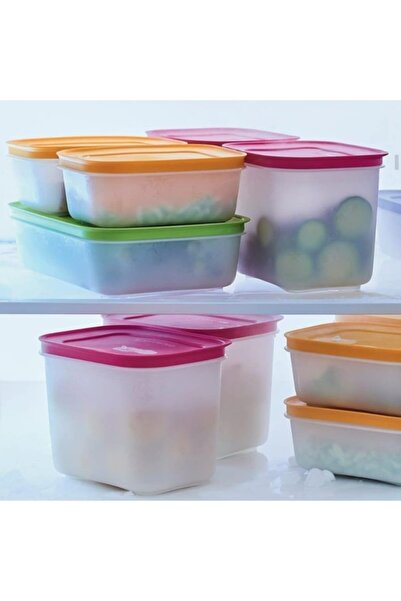 Tupperware Alaska Set ( 1.1 Lt-1 Lt ) Buzluk Saklama Kabı Hsgl