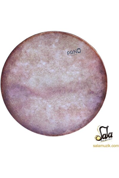 PANO Попередньо налаштований професійний Daf / Ydaf-5