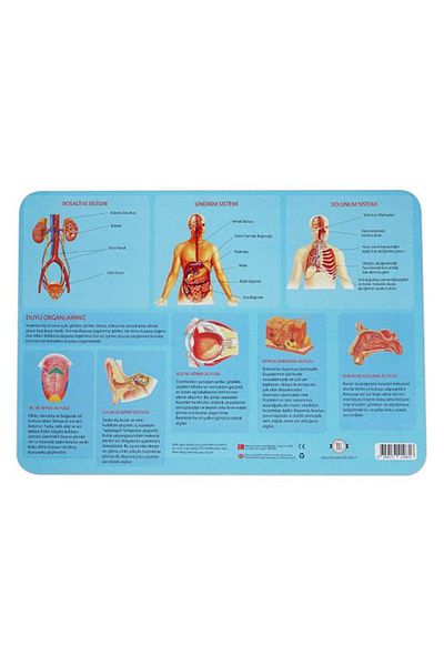 Tes Yayıncılık Let's Know Our Body Puzzle 35 Pieces 28x40 Cm
