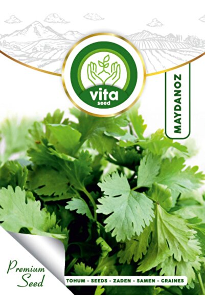 Vita Tohum Maydanoz Tohumu D'giant Italiano 25 gr