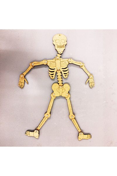 EmAyCenter Skeleton System Construction Set Wooden Paintable Montessori Educational Product Science Experiments