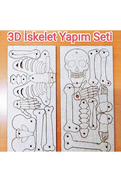 EmAyCenter Skeleton System Construction Set Wooden Paintable Montessori Educational Product Science Experiments