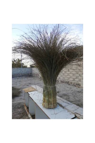 tunalar Püskül Otu Saçaklı Ot Dekoratif 1sacak uzunlugu 2 eni