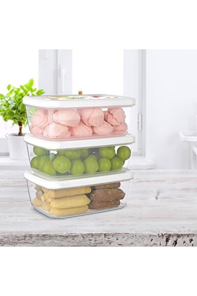 Cosiness Storage Container Set of 3 850 Ml