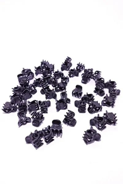 platin hediyelik 50 Pieces Black Small Rake - Women's Hair Clip