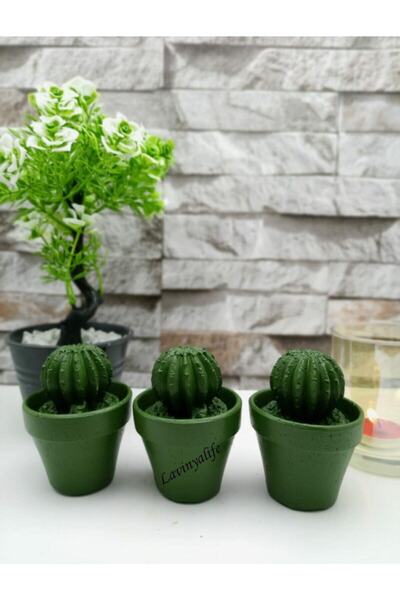 patienc Dekoratif 3'lü Mini Kaktüs