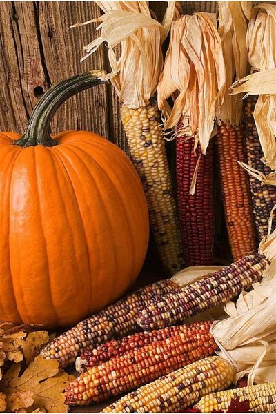 Marcel Kristal Tablo Pumpkin And Corns Marcel Art Diamond Mosaic Painting 36x51cm