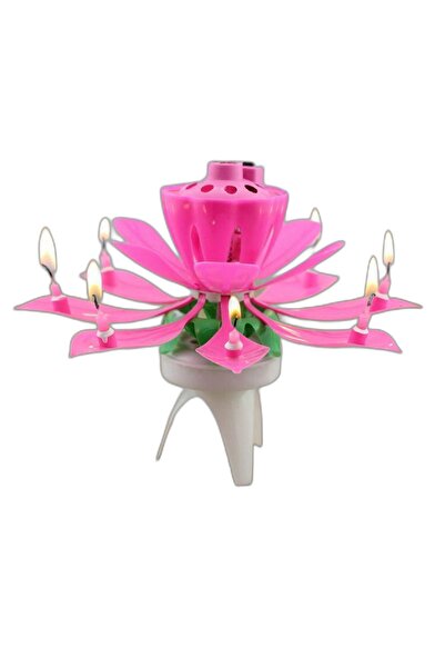 ELGALA Mum Sesli Lüx Doğum Günü Mumu Happy Birthday Fon Müzik Sesi Pembe Renk