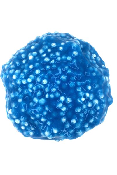 Slimewapi Deep Blue Jelly Belly Slime - 200 ml