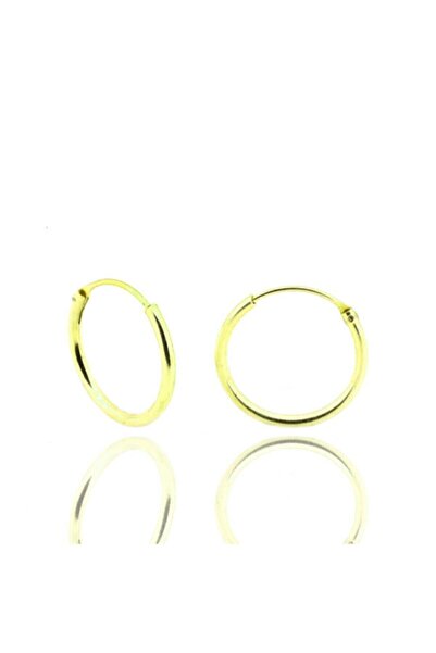 Doğan Silver Kadın Altın Yaldızlı Gümüş Halka Küpe 14 mm Dgn20946