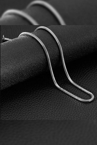 The Collection Stainless Chain Steel Snake Model Necklace Silver Snake Necklace