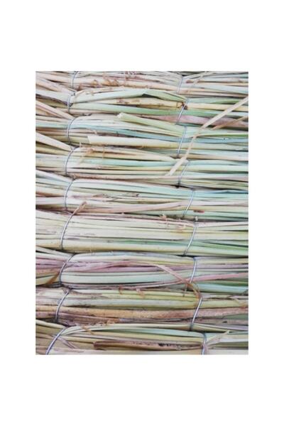 tunalar Püskül Otu Saçaklı Ot Dekoratif 1sacak uzunlugu 2 eni