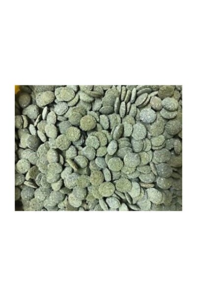 JBL Novo Pleco Vatoz Için Tablet Yem 100 Adet 21 Gr