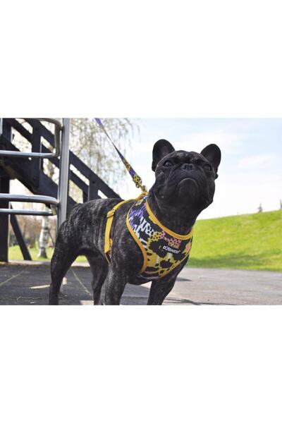Dogness Leopard Model Special Production Cat Dog Collar