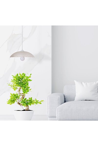 Vogue Eva Aydınlatma Modern Tekli Cam Sarkıt Şeffaf Tekli Avize 31x31x7 Cm