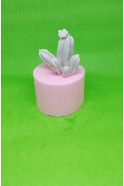 AnkaHobiMarket Üçlü Kaktüs Silikon Kalıp