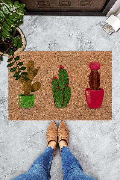 Evsebu Triple Cactus Decorative Door Mat