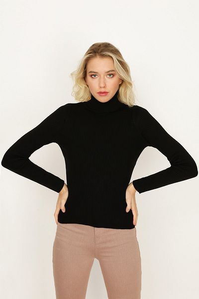 Select Moda Women's Black Turtleneck Knitwear