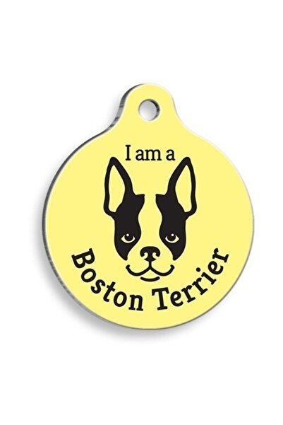Pet Tag Art بوسطن تيرير أصفر - علامة كلب مستديرة، صغيرة: 2.5 سم