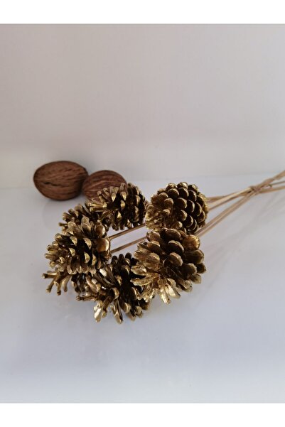 Flower Gold Kozalak Gold Renginde Dekoratif Kozalaklar 6 Adet, Çıbıklı Kozala...