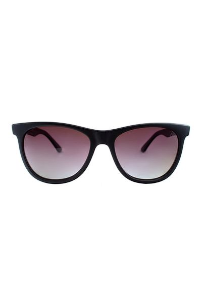 Swing Swing 133 C216 53 Unisex Brown Color Slanted Fountain Sunglasses