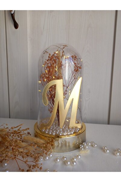 Efor aksesuar Masaüstü Pleksi M Harfi Fanus Jardinyer