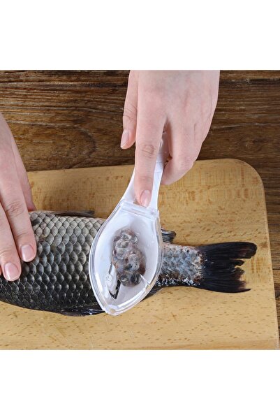 sumatic Balık Pulu Temizleme Aparatı Tekli