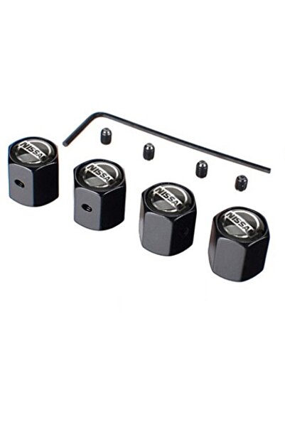 GARDENAUTO صمام نيسان بلوبيرد - غطاء أليان، آمن ضد السرقة