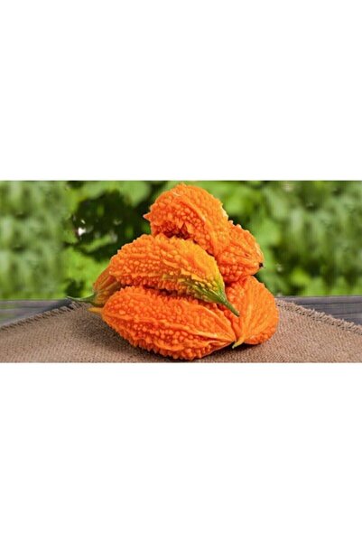 RAÇAM BOTANİK Süper Paket 25  Nadir Ithal Kudret Narı Tohumu Cennet Meyvesi