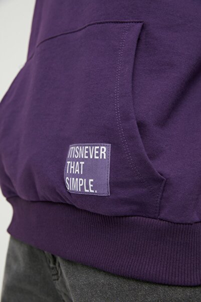 Trendyol Collection Големи суичър с дълъг ръкав и качулка - с апликация на етикет TMNSS21sw0221