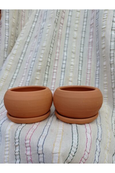 Comlekevi Toprak Saksı, Kaktüs Saksısı