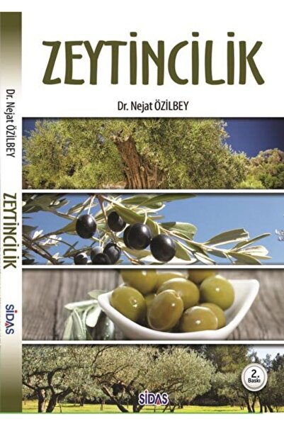 Zeytincilik