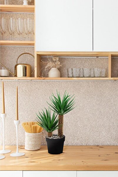 Çiçekmisin Mini Siyah Plastik Saksıda Iki Dal Yapay Kaktüs Aloevera