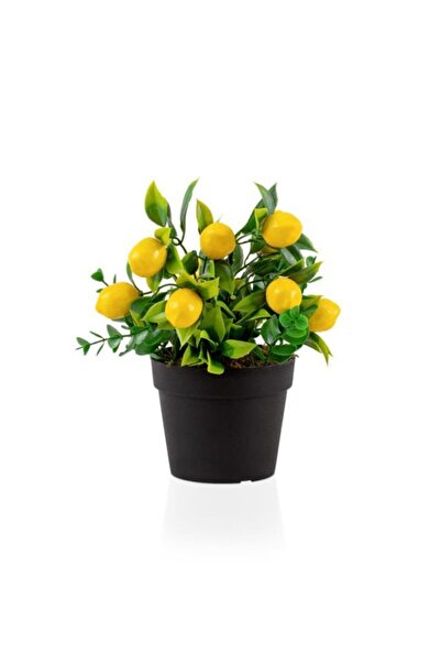 Çiçekmisin Saksıda Yapay Limon Çiçeği