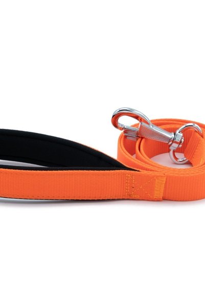 Doggie Orange Woven Dog Walking Strap - m 2.5X120Cm