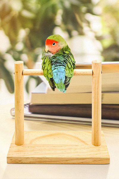 Alyones H Stand For Parrot & Budgie Training, Wooden Play Stand Portable Training Playground