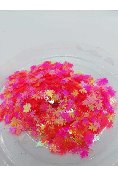 Sirius Hobi Epoksi Reçine Fire Leaf Yapraklar Tırnak Makyaj Chunky Glitter 5 ...