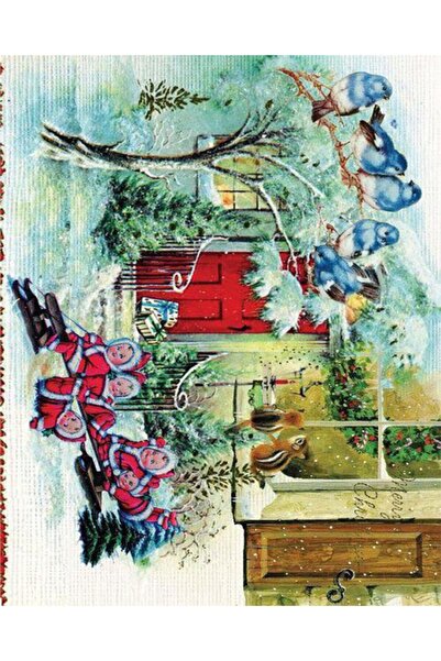 Cadence Tela Transfer Yapışkanlı 35x50cm Yt-212