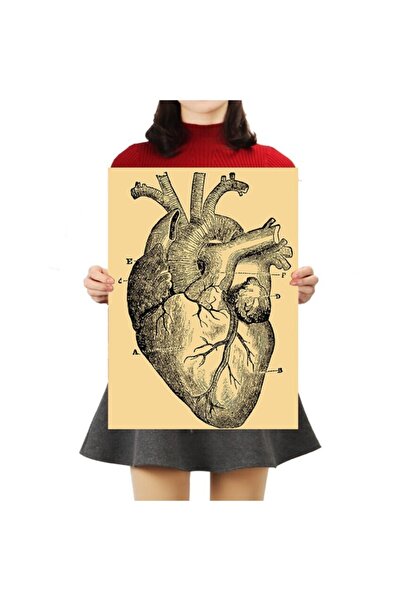 Caph Design Kalp Anatomisi - Vintage Kraft Poster - 33x48cm