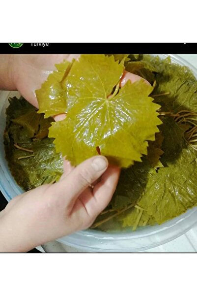 Emine hanım yaprakları Tokat Erbaa Narınce Yaprağı 5kg Orta Boy
