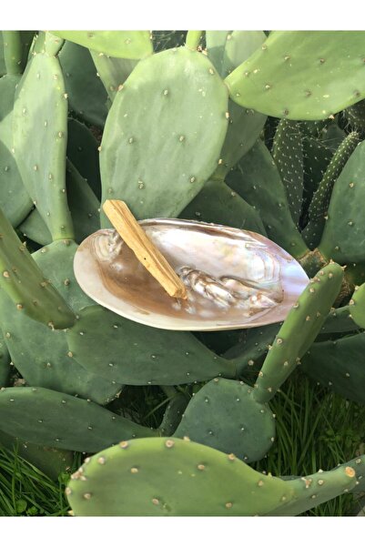 FOÇA ORGANİK Incili Sedef Deniz Kabuğu Ve Palo Santo Organik Tütsü Ile Birlikte