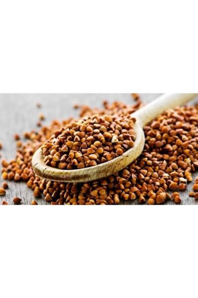 Hüdaverdi Arıcılık Karabuğday Tohumu 1 Kg Ücretsiz Kargo