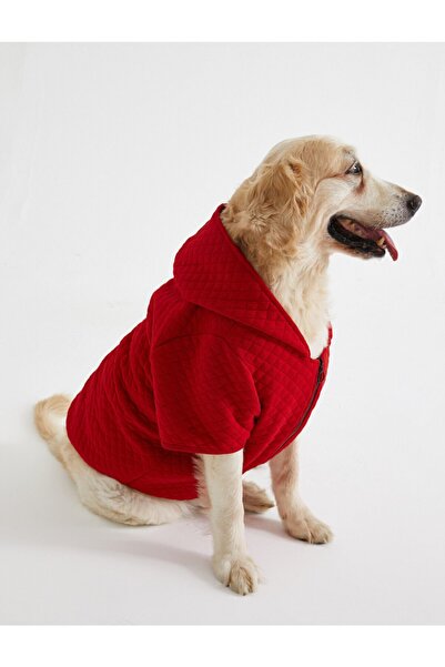 Koton Dog Sweatshirt